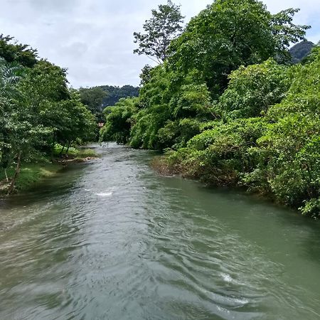 Khao Sok River & Jungle Bungalow Khao Sok National Park Exteriör bild