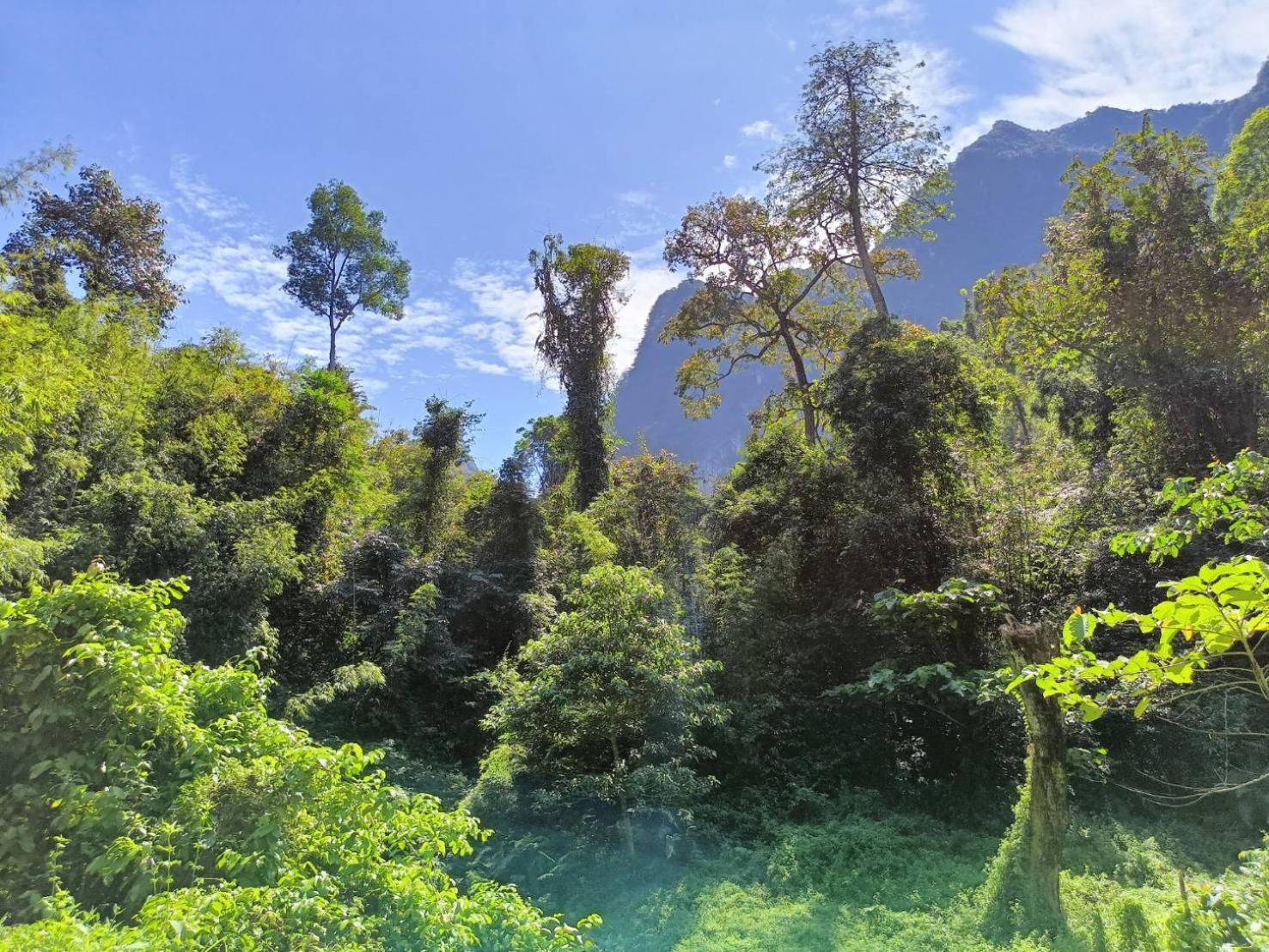 Khao Sok River & Jungle Bungalow Khao Sok National Park Exteriör bild
