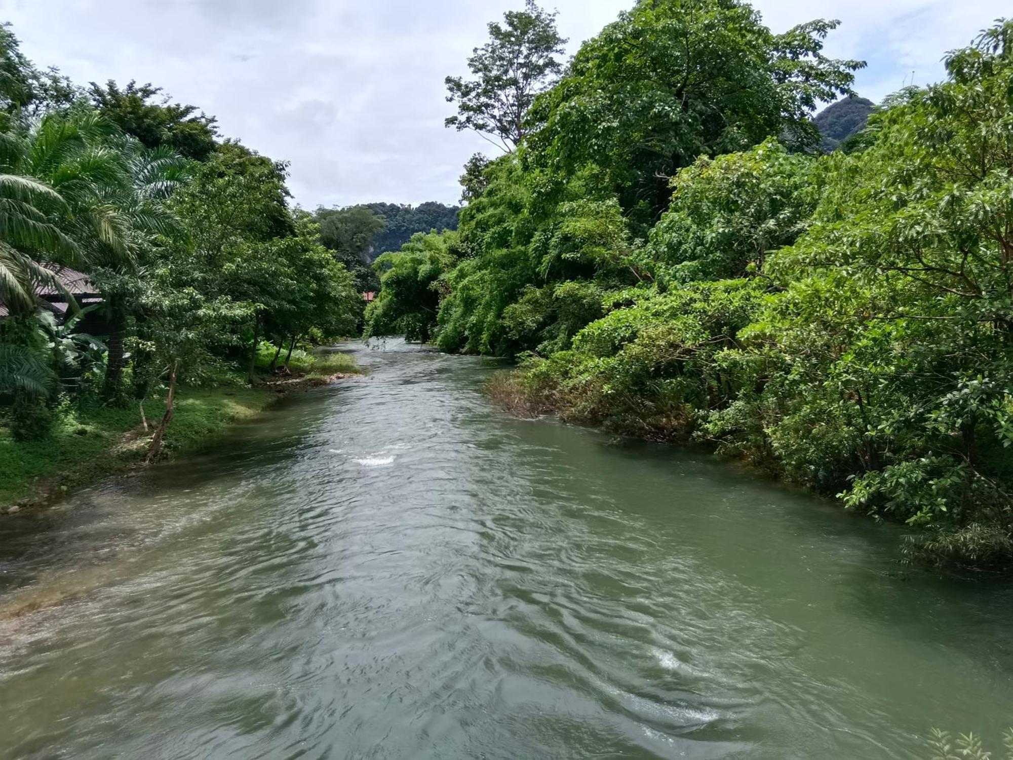 Khao Sok River & Jungle Bungalow Khao Sok National Park Exteriör bild